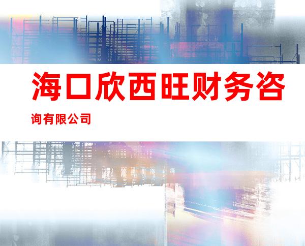 海口欣西旺财务咨询有限公司